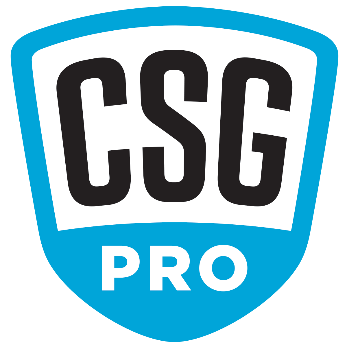 CSG Professional Svc Inc